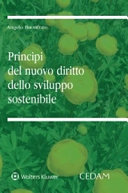 Copertina  Principi del nuovo diritto dello sviluppo sostenibile : la complessità assiologica del sistema di tutela ambientale conformato agli obiettivi di Agenda 2030 e del Green Deal europeo
