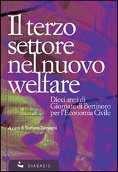 Copertina  Il terzo settore nel nuovo welfare : dieci anni di Giornate di Bertinoro per l'economia civile